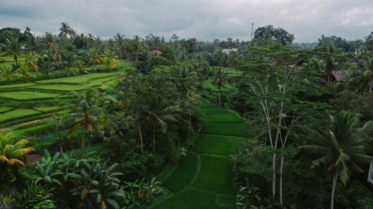 River Sakti Ubud By Prasi Exterior photo